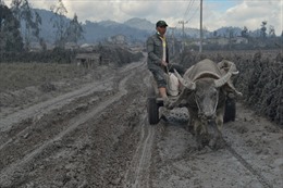 25.000 người Indonesia sơ tán do núi lửa